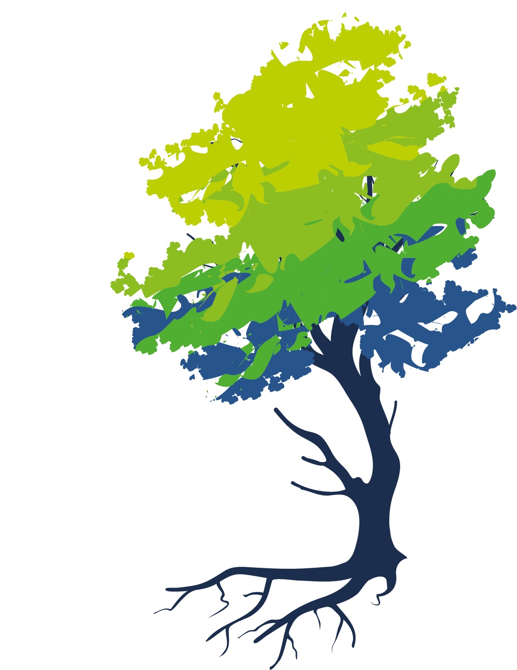 bg tree